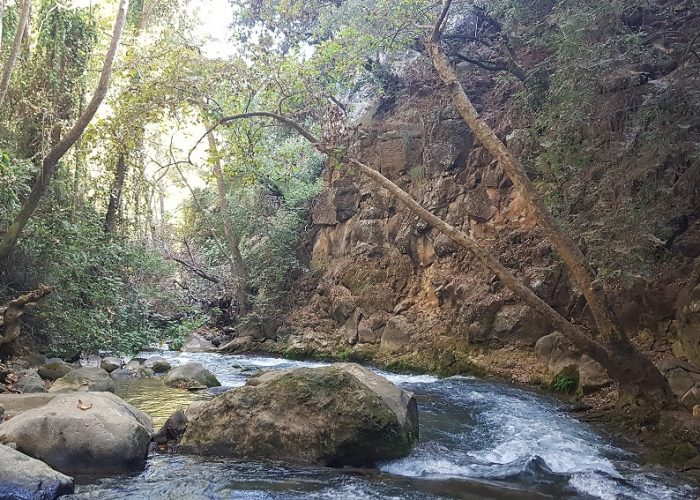 הטנק הסורי ההפוך בבניאס