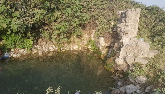 עינות ציפורי – מעיין צלול ומרענן שכדאי לכם להכיר