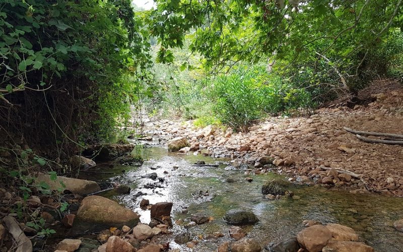 נחל בצת שרך גליל מערבי