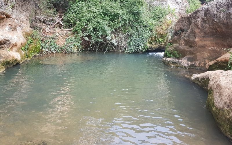 נחל בצת שרך גליל מערבי