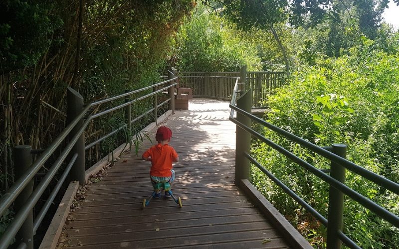 שמורת הטבע תל דן