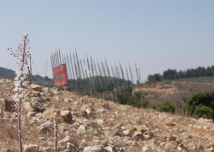 חצבים בתל יודפת