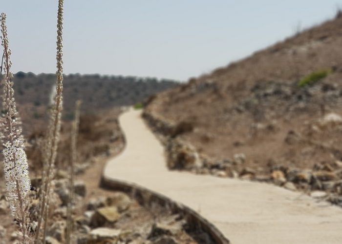 חצבים בתל יודפת