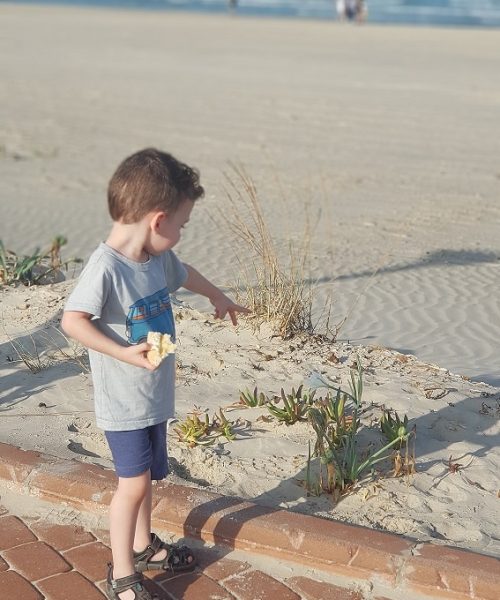 איפה מטיילים בסתיו – פריחת החצב, ציפורים נודדות והשלכת!