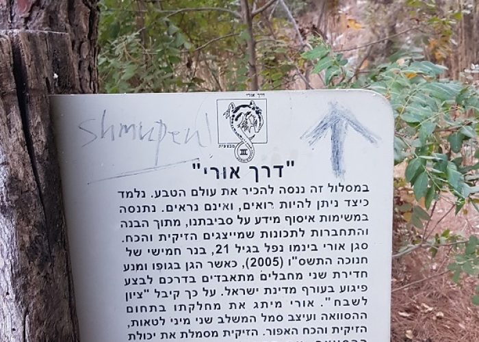 מסלול נחל קטיע דרך אורי פארק נשר