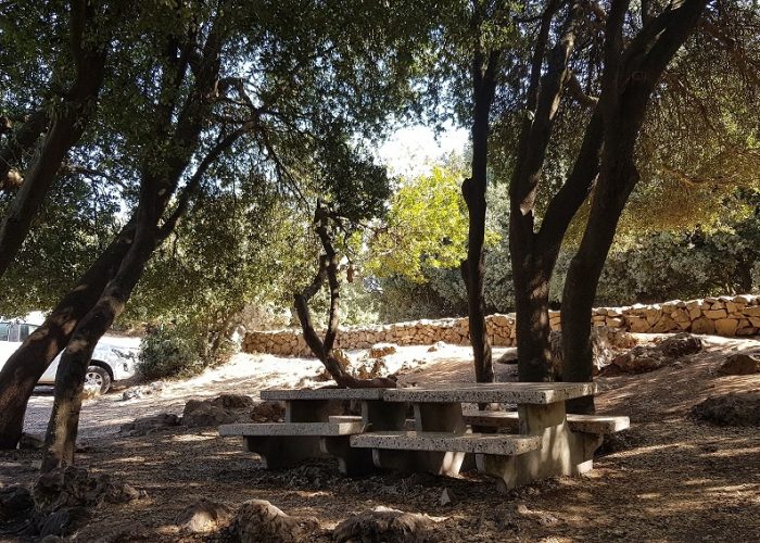 שביל הפסגה הר מירון