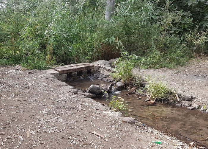 חניון אשמורה – חניון הדרדרה למרגלות הגולן