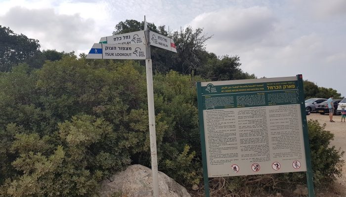 הצניר בנחל כלח – שוויצריה הקטנה פארק הכרמל