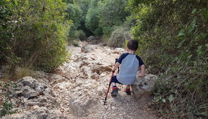 הצניר בנחל כלח – שוויצריה הקטנה פארק הכרמל