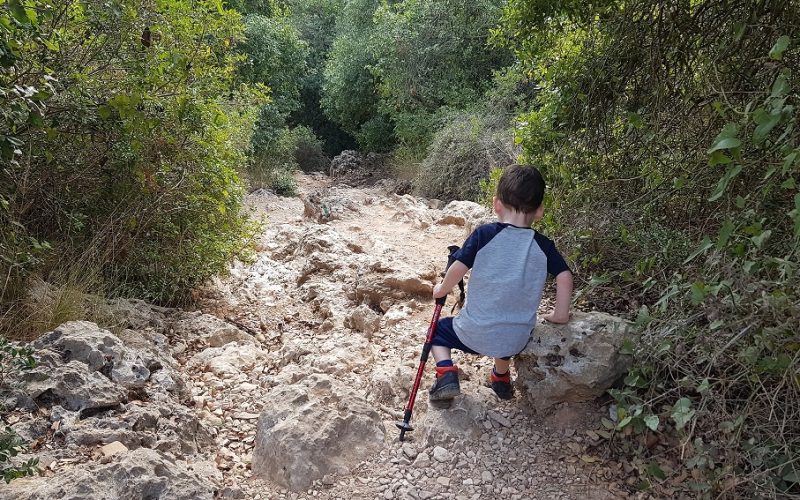 הצניר בנחל כלח – שוויצריה הקטנה פארק הכרמל