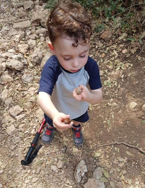 הצניר בנחל כלח – שוויצריה הקטנה פארק הכרמל