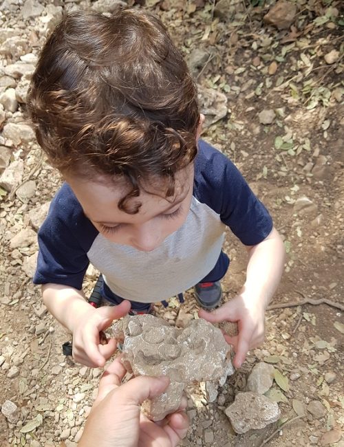 הצניר בנחל כלח – שוויצריה הקטנה פארק הכרמל