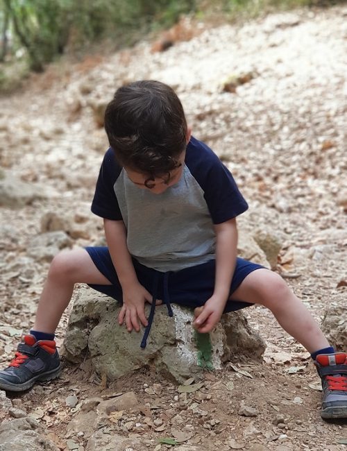 הצניר בנחל כלח – שוויצריה הקטנה פארק הכרמל