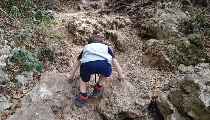 הצניר בנחל כלח – שוויצריה הקטנה פארק הכרמל