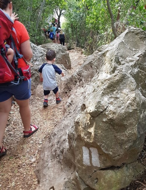 הצניר בנחל כלח – שוויצריה הקטנה פארק הכרמל
