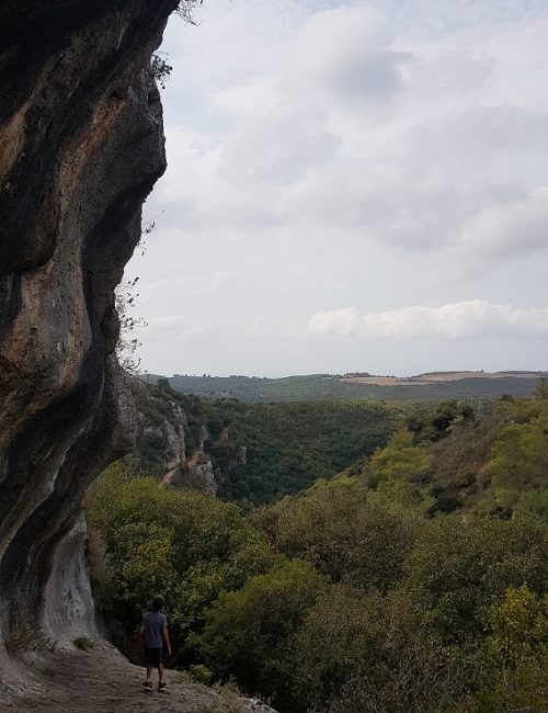 הצניר בנחל כלח – שוויצריה הקטנה פארק הכרמל