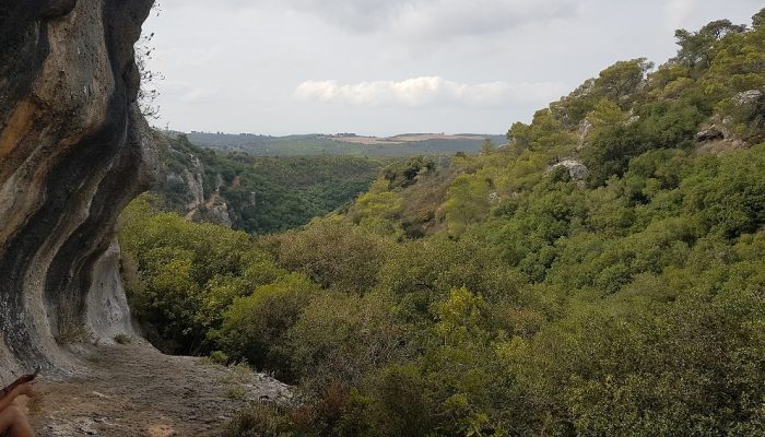 הצניר בנחל כלח – שוויצריה הקטנה פארק הכרמל