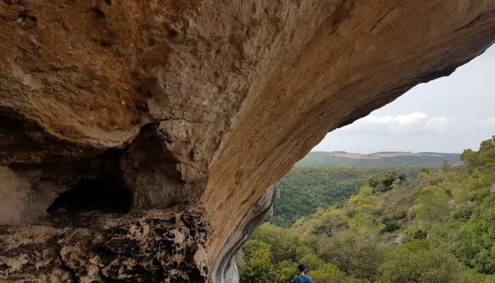 הצניר בנחל כלח – שוויצריה הקטנה פארק הכרמל