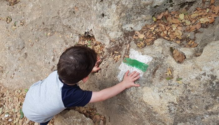 הצניר בנחל כלח – שוויצריה הקטנה פארק הכרמל