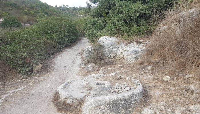 מחצבות קדומים אנדרטת אסון הכרמל חוות משמר הכרמל