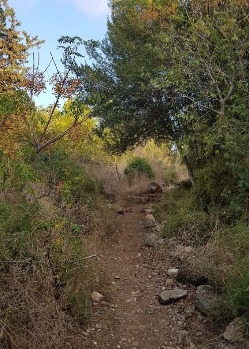עין איילה וחורבת שמרי בנחל שמרי - שביל שלוחת איילה יער עופר