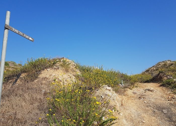 תל מיכל – טיול פריחה ותצפית על מרינה הרצליה