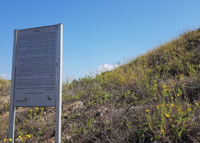 תל מיכל – טיול פריחה ותצפית על מרינה הרצליה