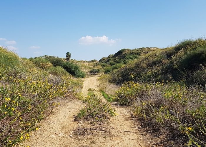 תל מיכל – טיול פריחה ותצפית על מרינה הרצליה
