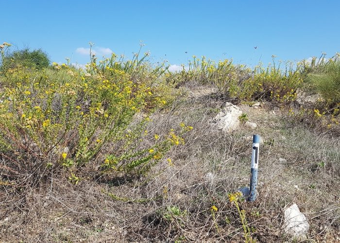 תל מיכל – טיול פריחה ותצפית על מרינה הרצליה