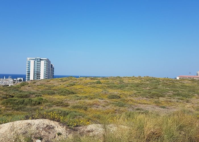 תל מיכל – טיול פריחה ותצפית על מרינה הרצליה