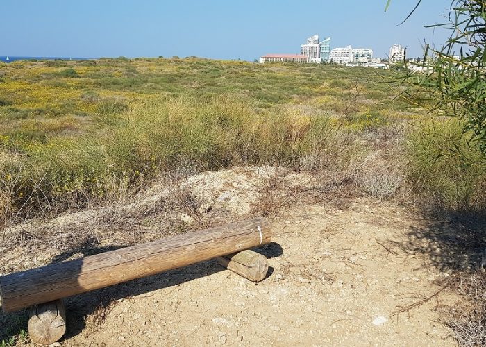 תל מיכל – טיול פריחה ותצפית על מרינה הרצליה
