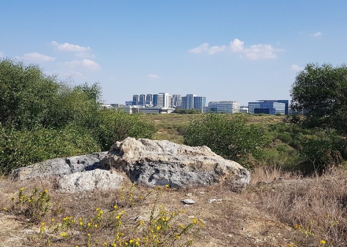 תל מיכל – טיול פריחה ותצפית על מרינה הרצליה