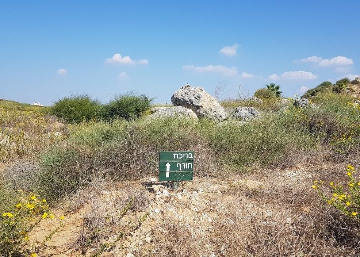 תל מיכל – טיול פריחה ותצפית על מרינה הרצליה