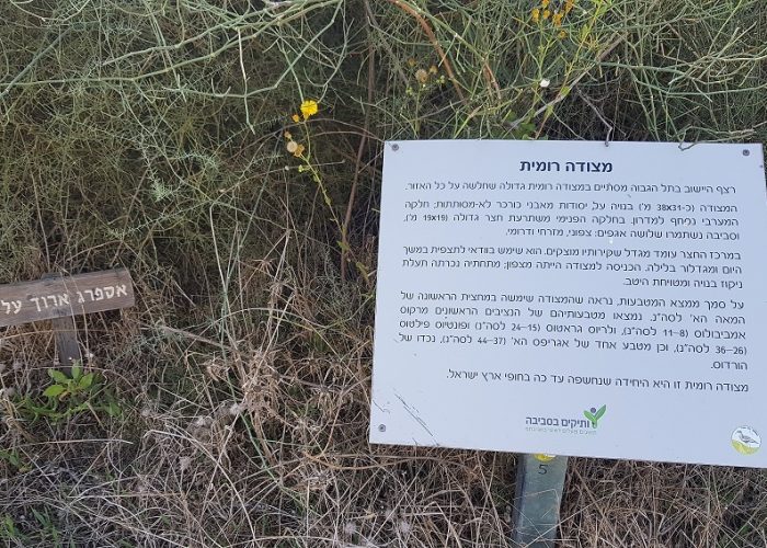 תל מיכל – טיול פריחה ותצפית על מרינה הרצליה