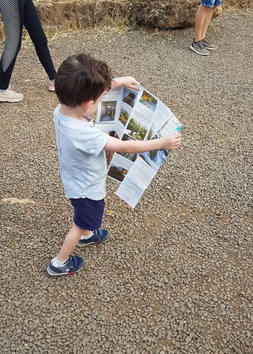 השביל התלוי ומפל הבניאס נחל חרמון