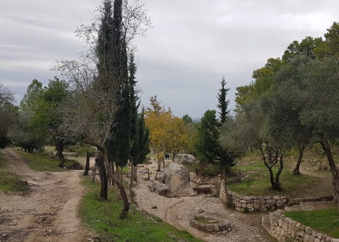 פארק איילון קנדה – מסלולי טיול ונקודות פיקניק