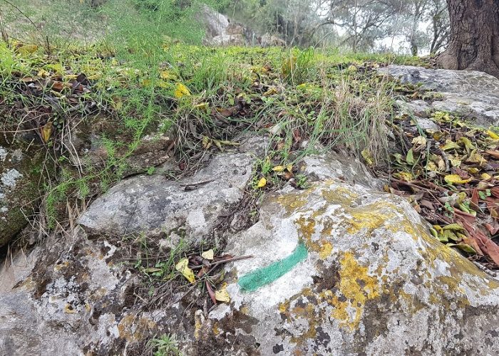 פארק איילון קנדה – מסלולי טיול ונקודות פיקניק