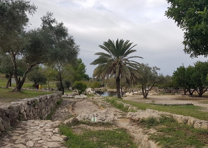 פארק איילון קנדה – מסלולי טיול ונקודות פיקניק