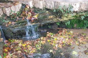 גן לאומי עין חמד