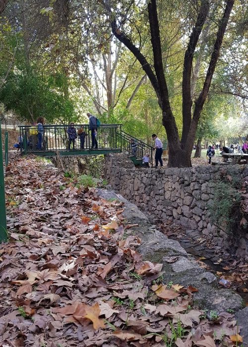 גן לאומי עין חמד