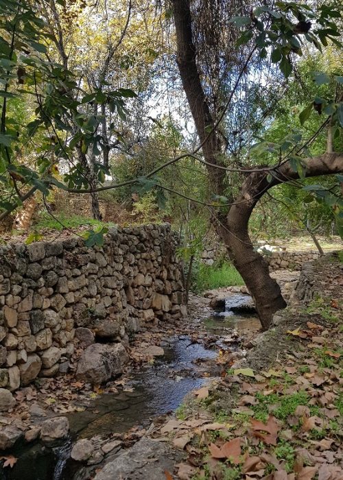 גן לאומי עין חמד