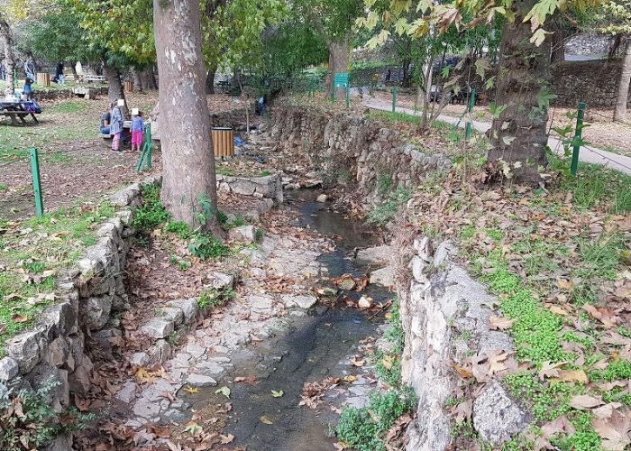 גן לאומי עין חמד