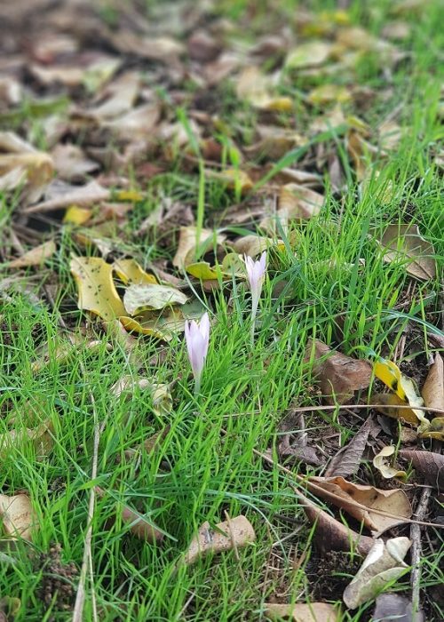 גן לאומי הר הרוח ודרך נוף נחל יתלה