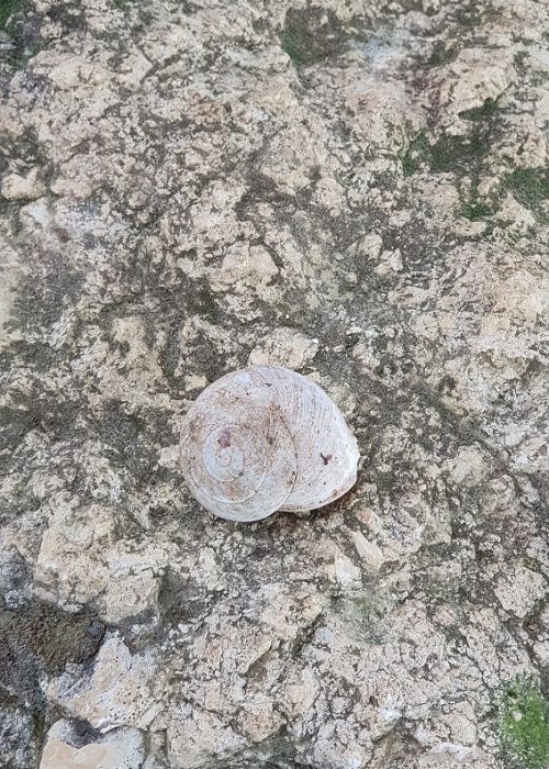 גן לאומי הר הרוח ודרך נוף נחל יתלה