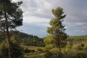 גן לאומי הר הרוח ודרך נוף נחל יתלה