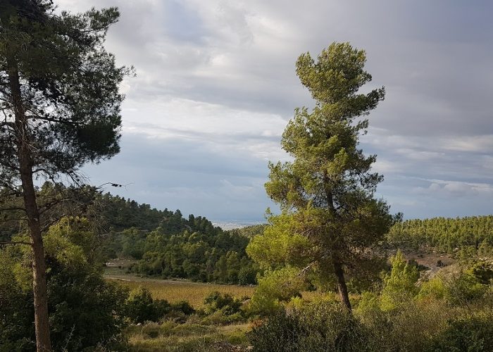 גן לאומי הר הרוח ודרך נוף נחל יתלה