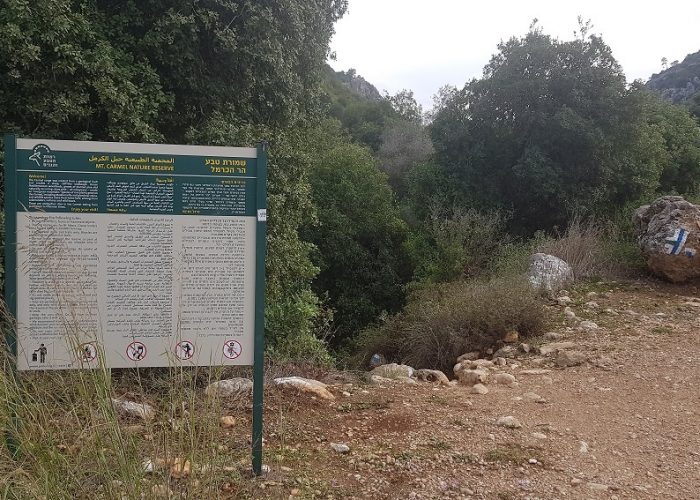 רכס אצבע ומערת אצבע בפארק הכרמל