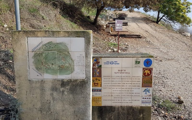 תל יקנעם – טיול חוויתי בפארק ארכיאולוגי עם תצפיות נוף