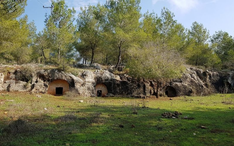 יער קרן הכרמל – שביל המערות וחורבת חרמש