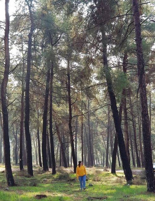 יער קרן הכרמל – שביל המערות וחורבת חרמש